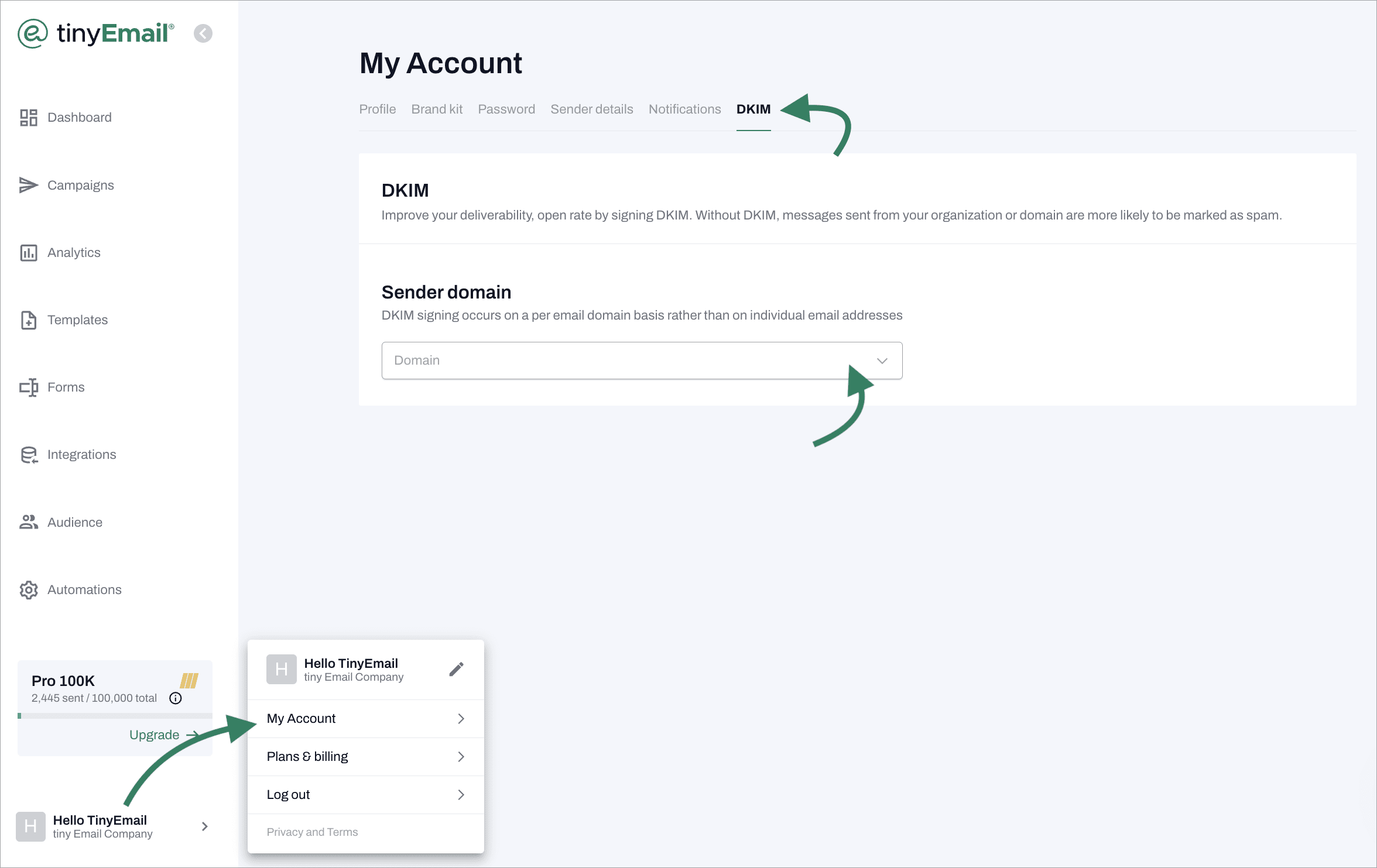 tinyEmail open the DKIM page