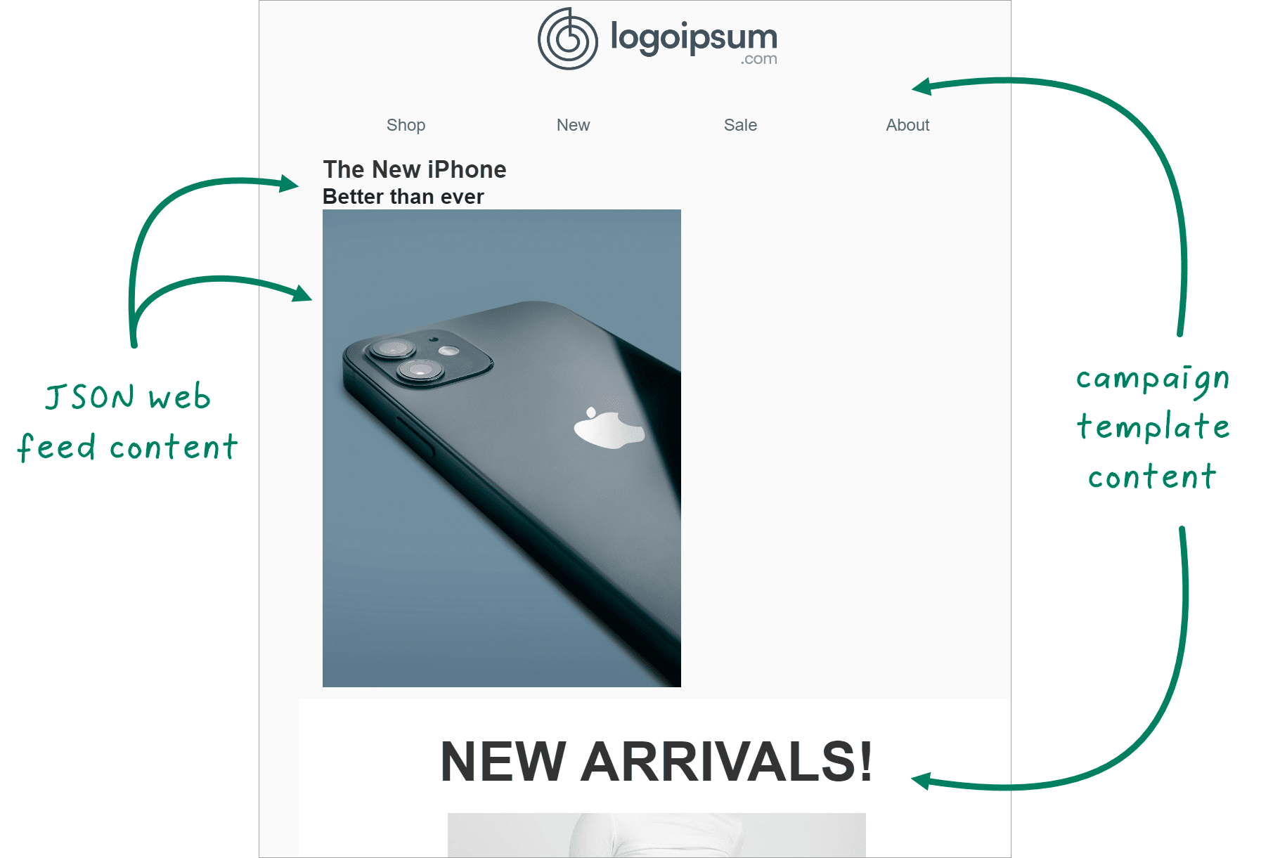 customer view of a campaign message with JSON web feed content